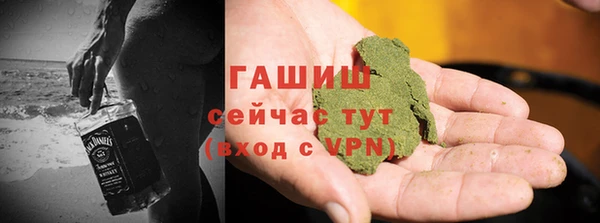 сатива Ельня