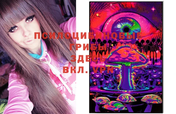мдпв Усолье-Сибирское