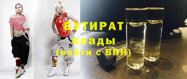 сатива Ельня