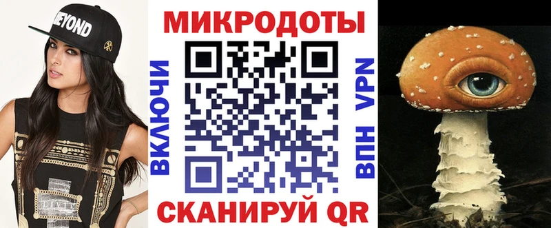 Купить  Чебаркуль  Псилоцибиновые грибы Cubensis 